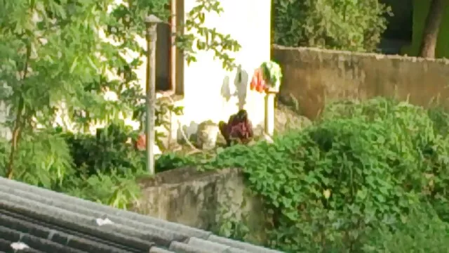गुदा खेलने में गंदा बाइकर रेड इंडियन सनी लियोन की सेक्सी मूवी बीएफ