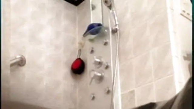 वह चाहता है मुझे सनी लियोन मूवी सेक्सी सह करने के लिए