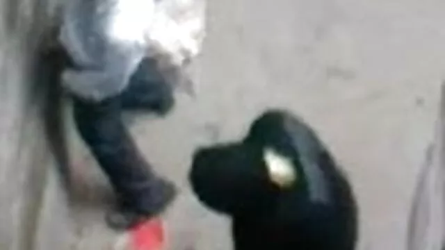 अनुरक्षण