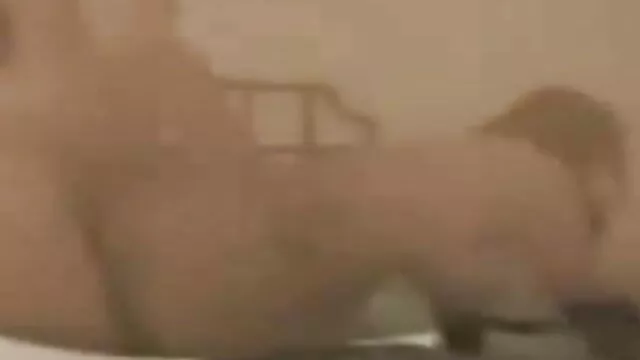 टेक्सास सनी लियोन सेक्सी मूवी वीडियो कौगर माँ एक कठिन मुर्गा द्वारा टक्कर लगी है!
