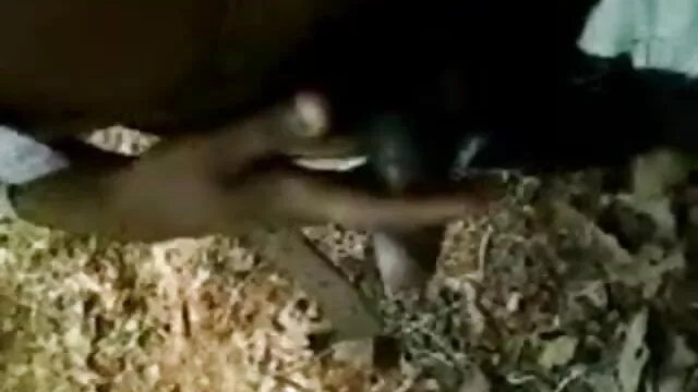 सैन्य कमबख्त जंगल में सनी लियोन की फुल सेक्सी मूवी