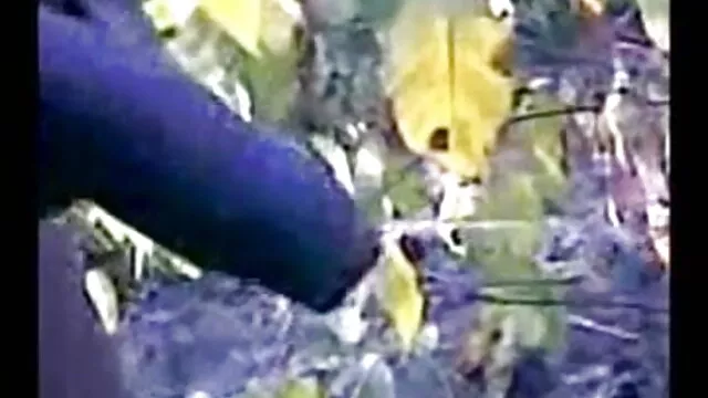 ईडन पथपाकर एक बड़ा मुर्गा सनी लियोन की सेक्सी मूवी फुल एचडी वीडियो