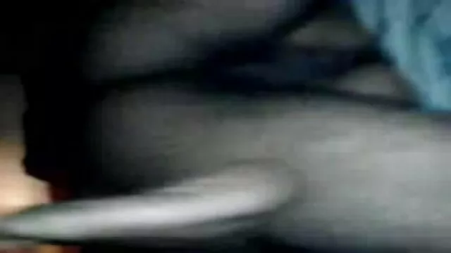 गोरा उसे बिल्ली स्ट्रोक प्यार सनी लियोन सेक्सी सेक्सी मूवी करता है
