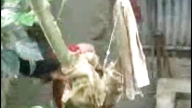 मेहनती सनी लियोन की सेक्सी मूवी दिखाओ जयजयकार मुर्गा लेता है