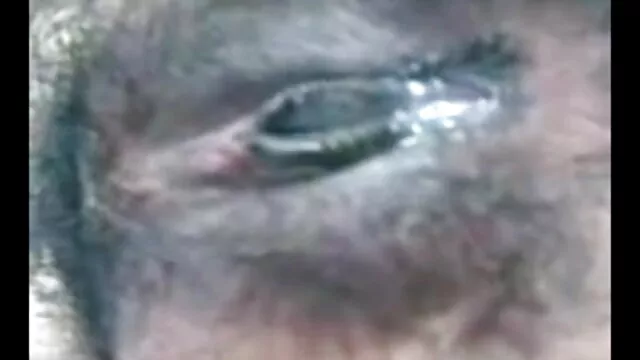 एमआईएलए चरण माँ मुर्गा सवारी सनी लियोन फुल सेक्सी मूवी एचडी