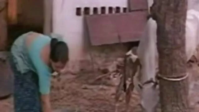 ऋण 4 कश्मीर मुंडा रसदार सनी लियोन की एक्स मूवी बिल्ली मुश्किल स्थिति में गोरा किशोरों की मदद