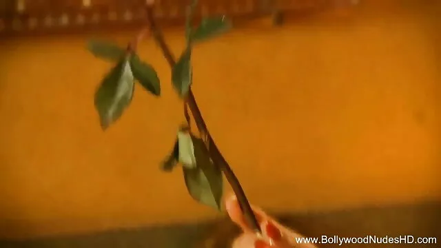 पेरिस से सनी लियोन की सेक्सी मूवी फुल एचडी वीडियो न्यूयॉर्क तक