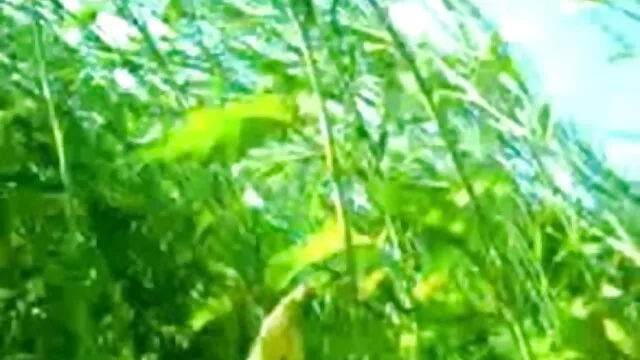 किशोर खाती है चरण सनी लियोन की सेक्सी मूवी फुल एचडी माँ