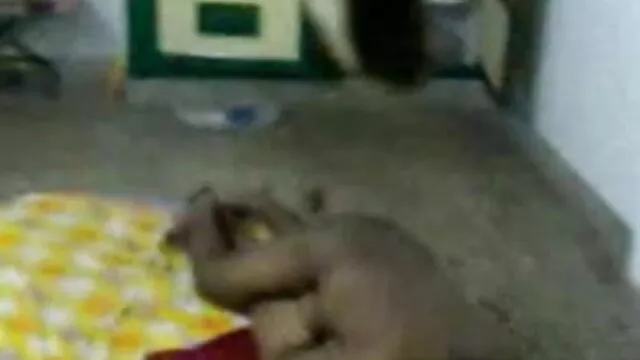 बालकनी 2 पर हॉट सेक्सी बेब सनी सेक्सी मूवी