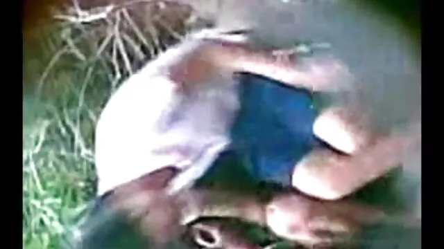 बिल्ली सनी लियोन की हिंदी सेक्सी मूवी चाटना और यह बल के साथ खेलते हैं