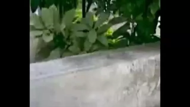 वास्तविकता किंग्स-पतला किशोर बुश से पता सनी लियोन सेक्सी फुल एचडी मूवी चलता है
