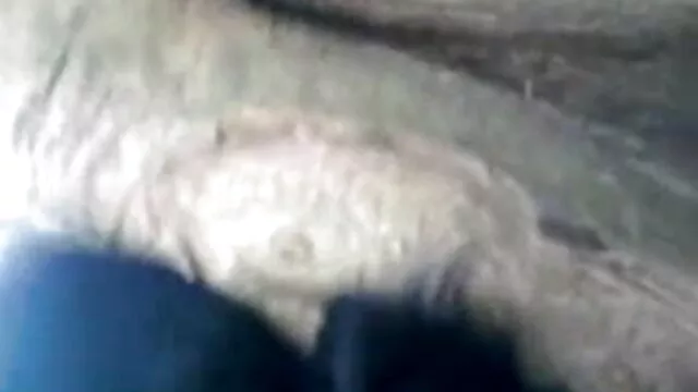 प्यारा बेवकूफ एक कंडोम डिक अध्ययन सनी लियोन की हिंदी सेक्सी मूवी तोड़ लेता है