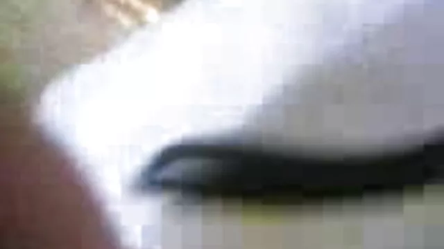 होजरी में दृश्य के साथ सनी लियोन की नंगी सेक्सी मूवी